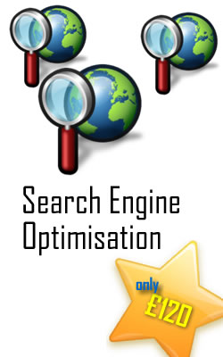 IFDNRG SEO Expertise